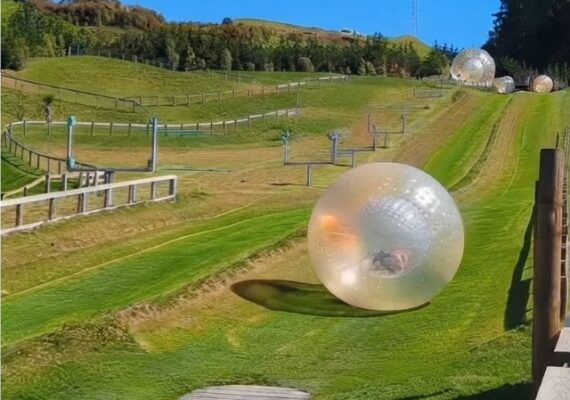 What Is Zorbing? A Guide to Rotorua's Famous Ball-Rolling Ride