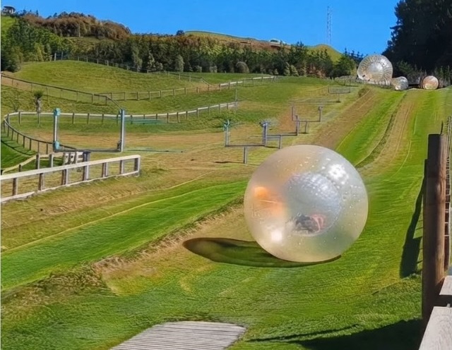 What Is Zorbing? A Guide to Rotorua's Famous Ball-Rolling Ride
