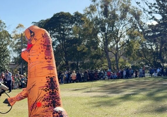 What happens during book week?
