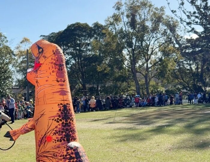 What happens during book week?