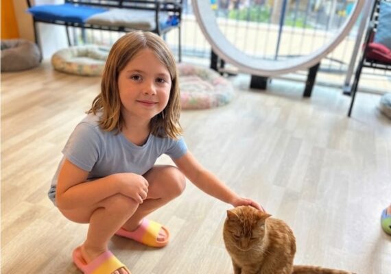 Crazy Cat Café Reviews