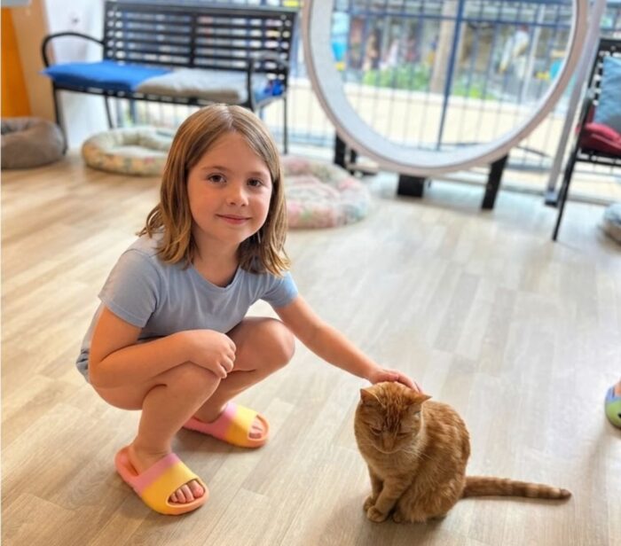 crazy cat café reviews