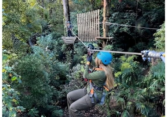 Treetops Adventure Belgrave Reviews