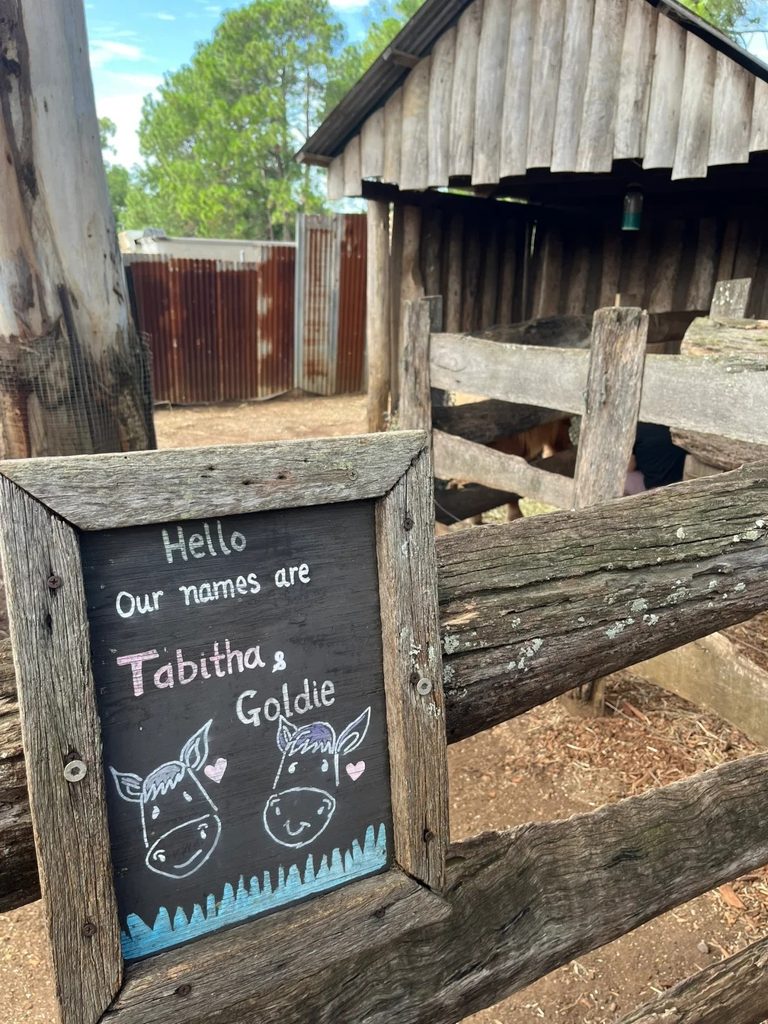 Capalaba Produce Review - The Petting Zoo Hidden in a Brisbane Produce Store