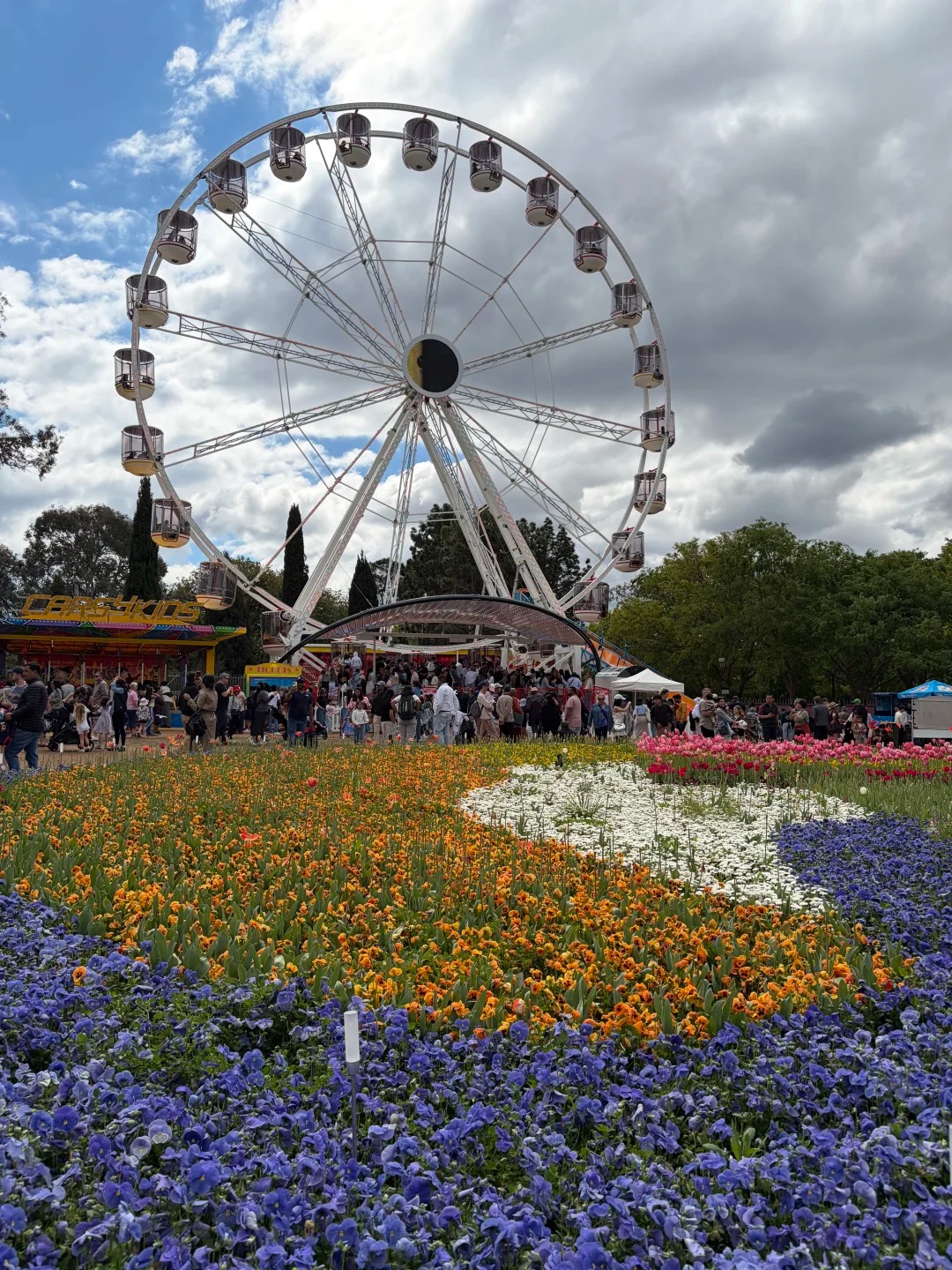 Floriade Canberra 2026 Review - Feast of Flowers and NightFest