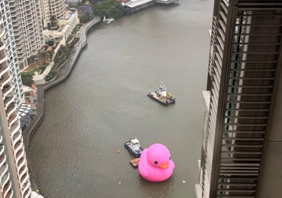 Giant Pink Rubber Duck In Brisbane - Where To See It, Times And Tips (2026)
