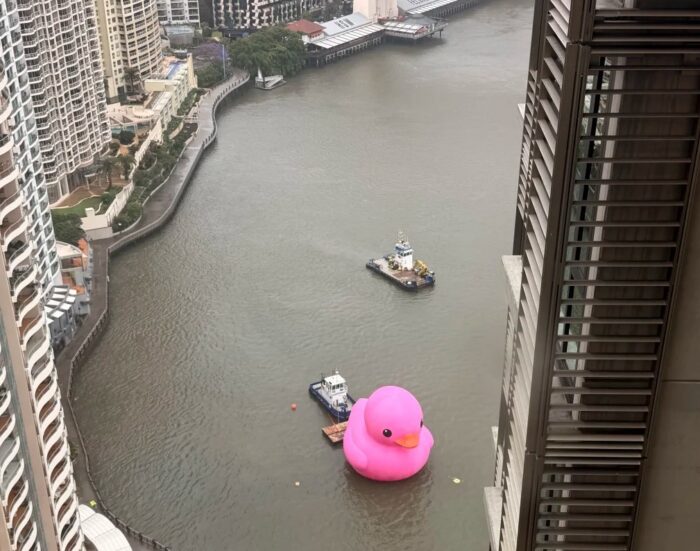Giant Pink Rubber Duck In Brisbane - Where To See It, Times And Tips (2026)