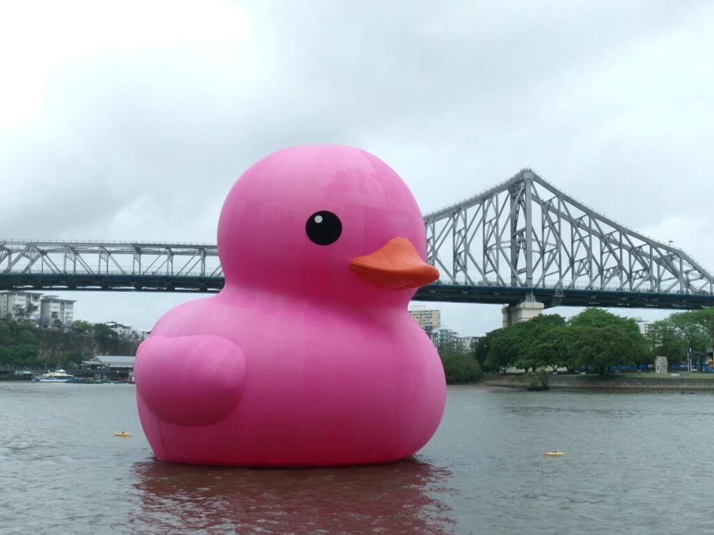 Giant Pink Rubber Duck In Brisbane - Where To See It, Times And Tips (2026)