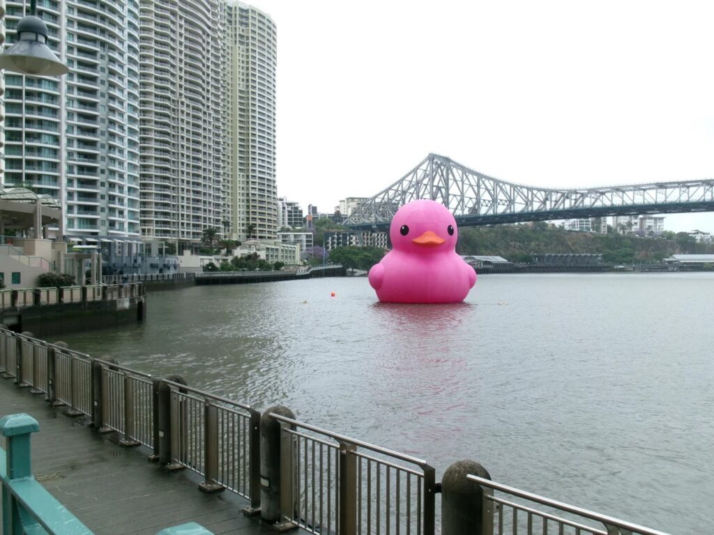 Giant Pink Rubber Duck In Brisbane - Where To See It, Times And Tips (2026)