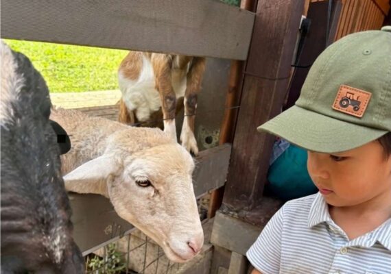 Hosanna Farmstay Review