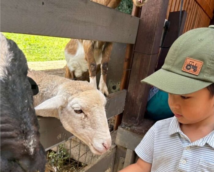 Hosanna Farmstay Review