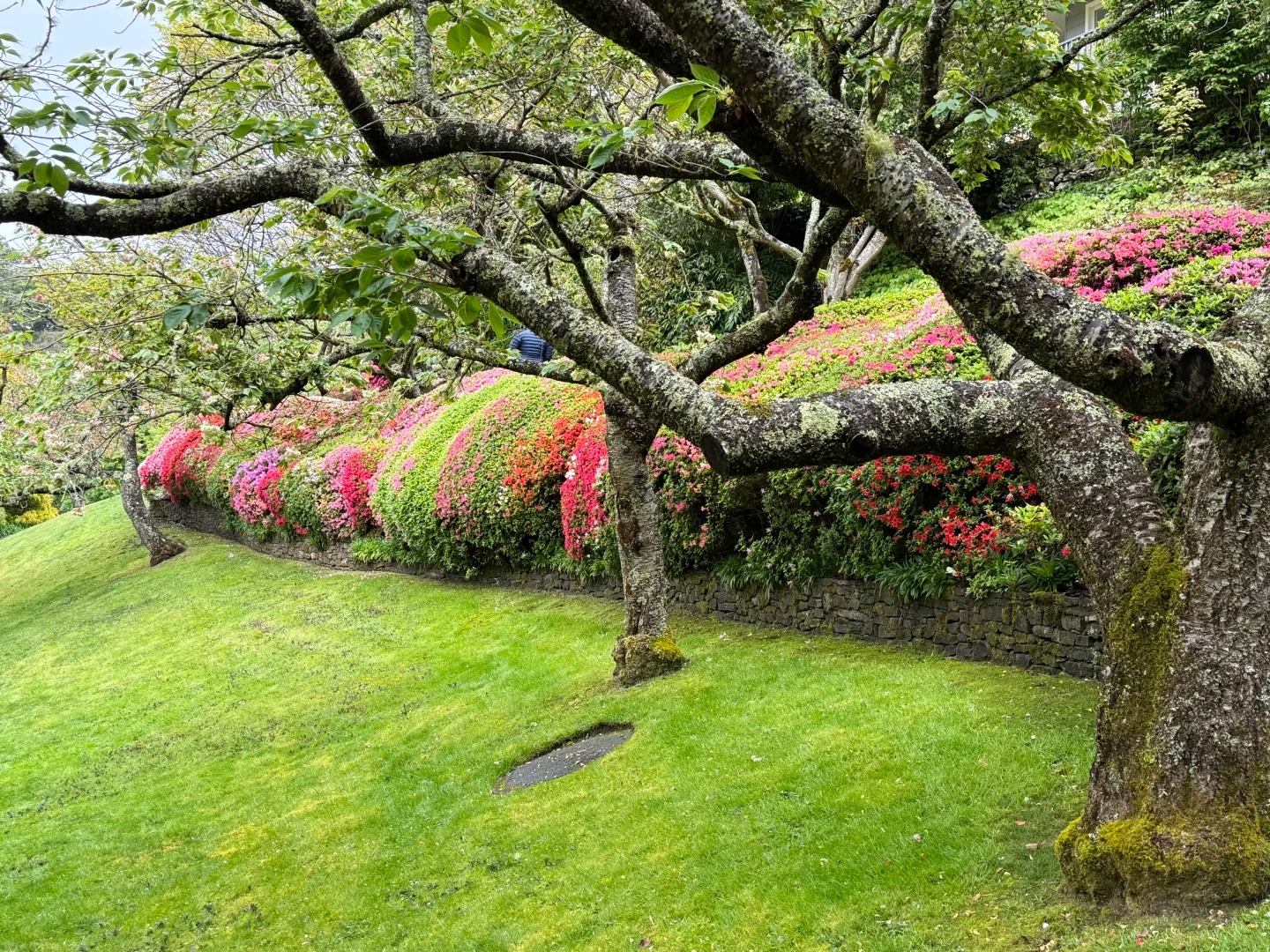 Leura Gardens Festival 2026 Reviews