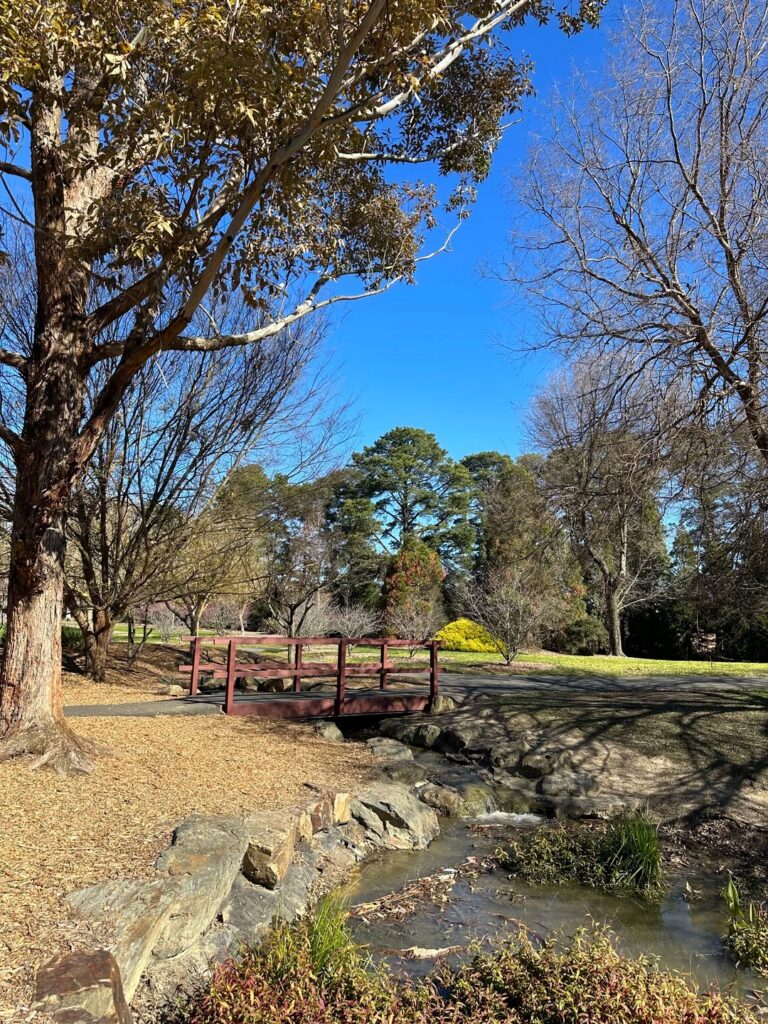 Mcalpin Reserve Playground Reviews