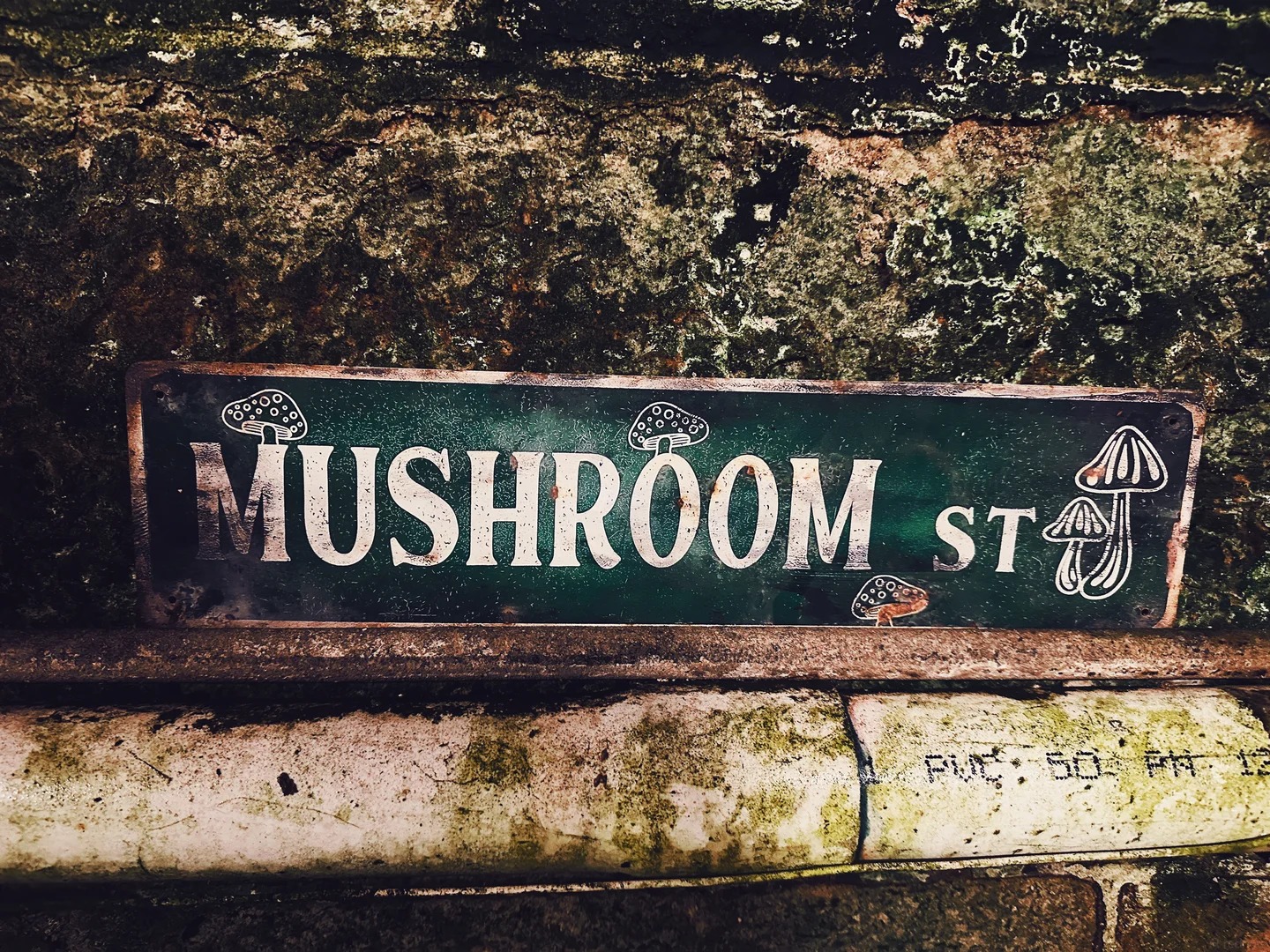 Mittagong Mushroom Tunnel Tour Reviews