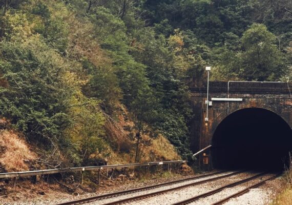 Mittagong Mushroom Tunnel Tour Reviews