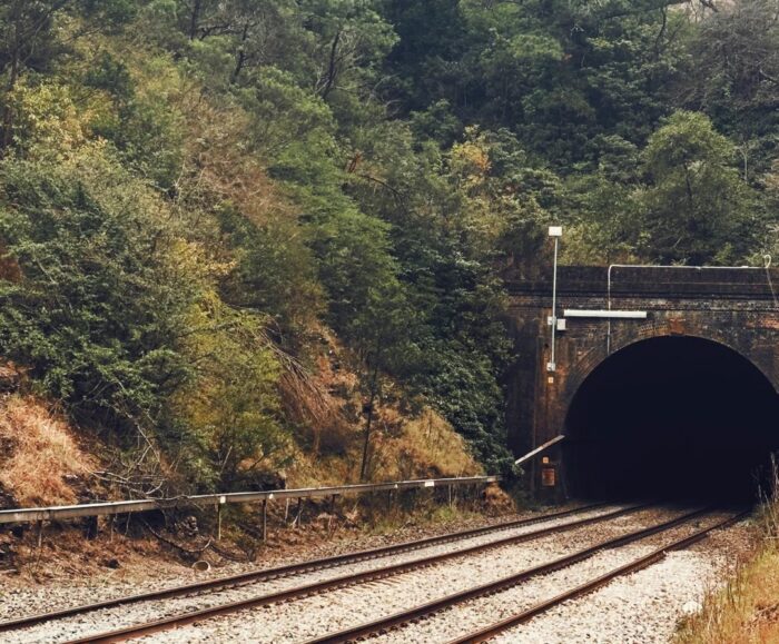 Mittagong Mushroom Tunnel Tour Reviews