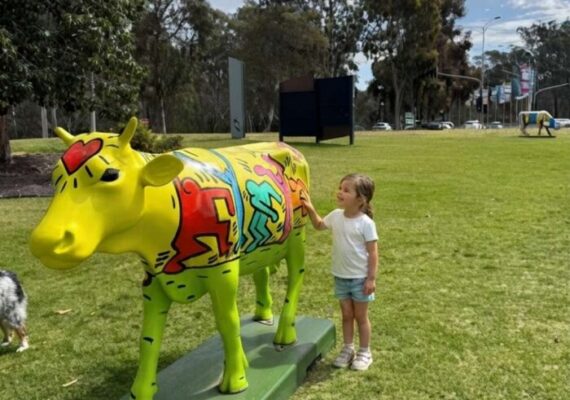 Shepparton Moooving Art - Hunting Painted Cows Sculptures