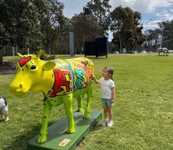 Shepparton Moooving Art - Hunting Painted Cows Sculptures