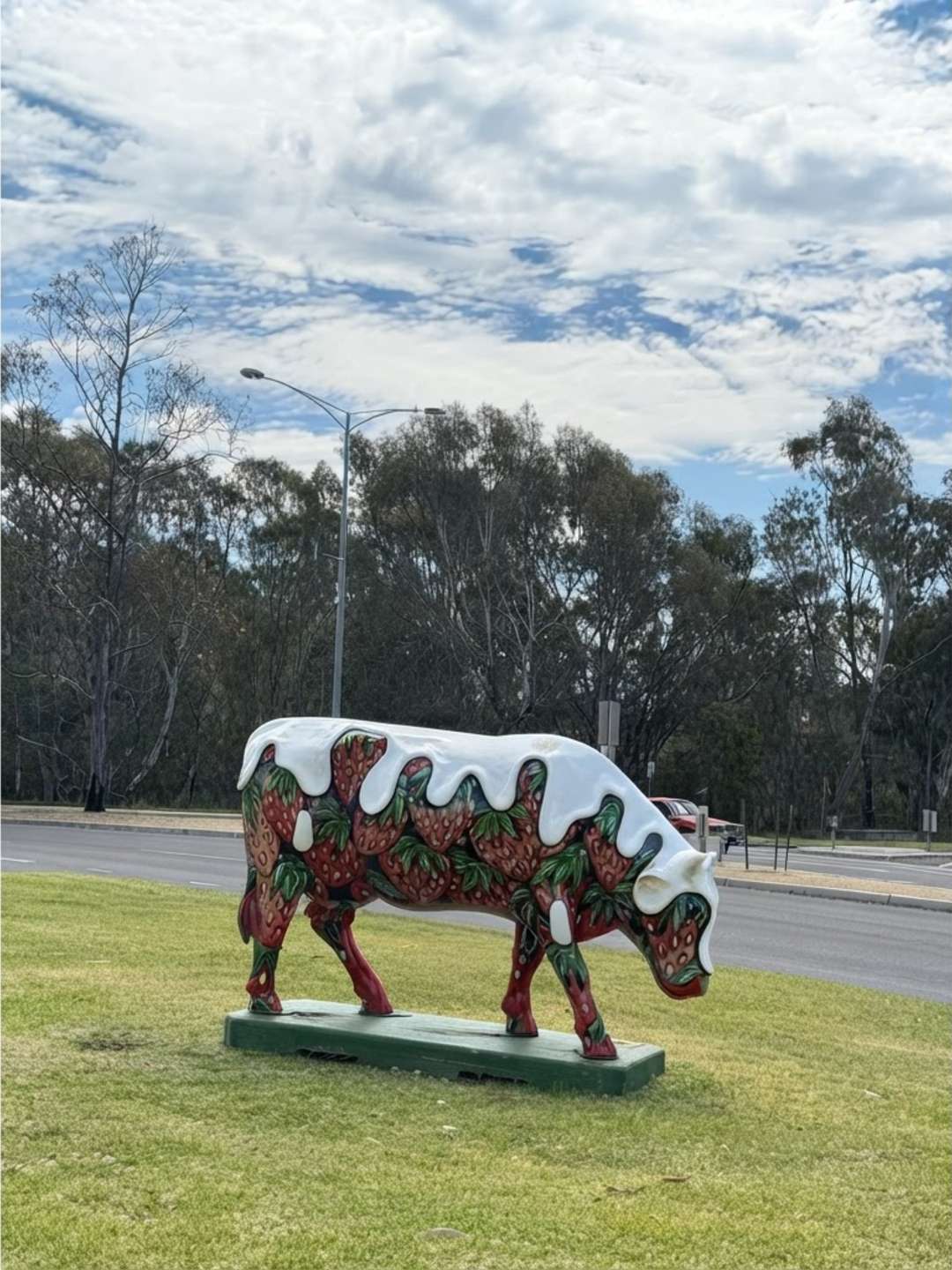 Shepparton Moooving Art - Hunting Painted Cows Sculptures