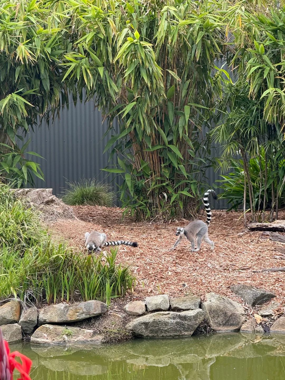 Symbio Wildlife Park Reviews