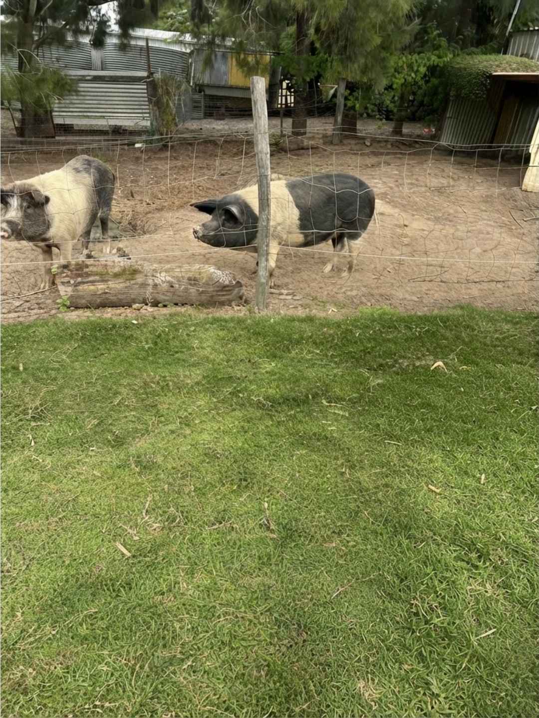 Trevena Glen Farm Reviews