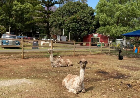 White Ridge Farm Reviews
