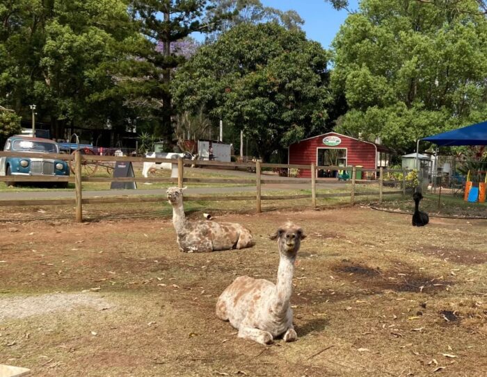 White Ridge Farm Reviews