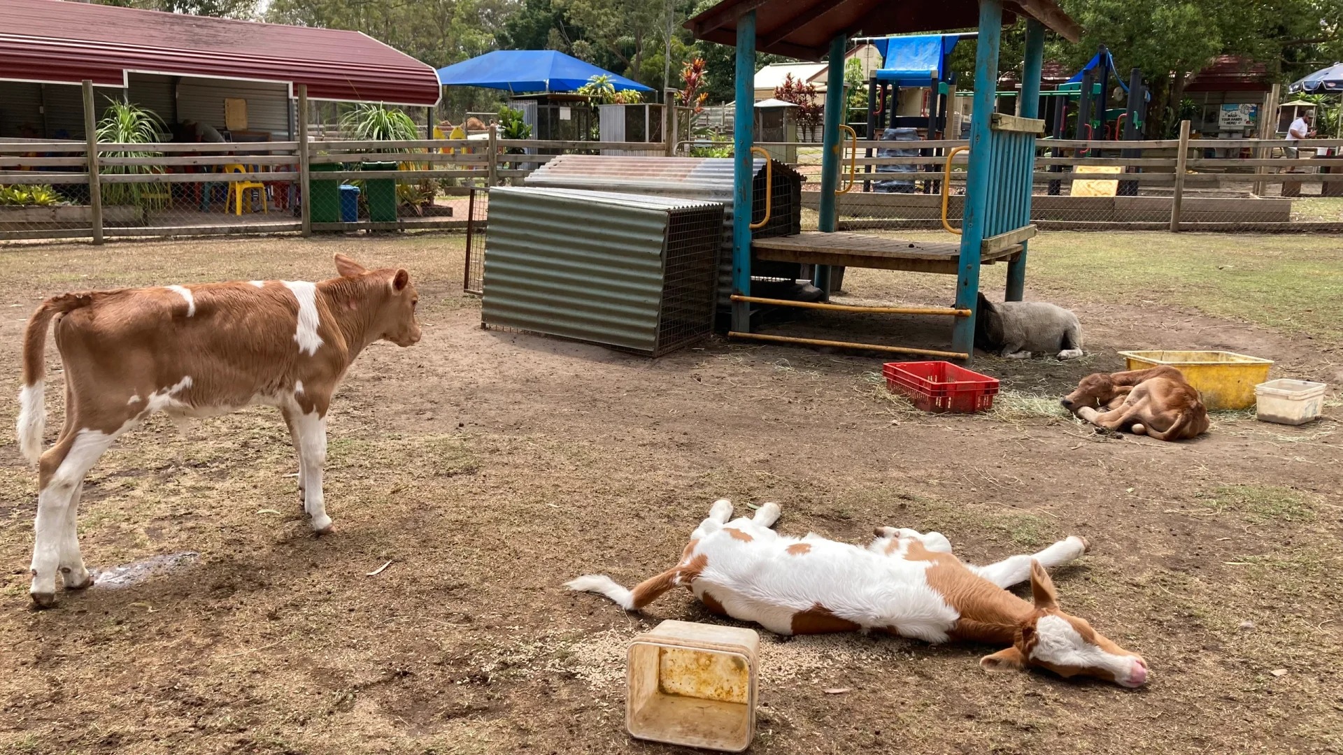White Ridge Farm Reviews